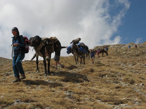 trekking con i muli-214.jpg